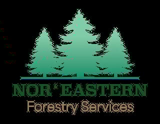 NorEastern Forestry Services logo with three green evergreen trees and company name text