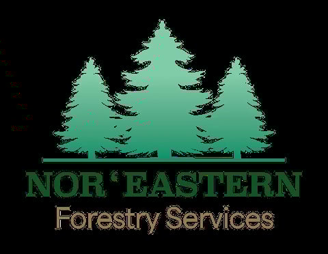 NorEastern Forestry Services logo with three green evergreen trees and company name text